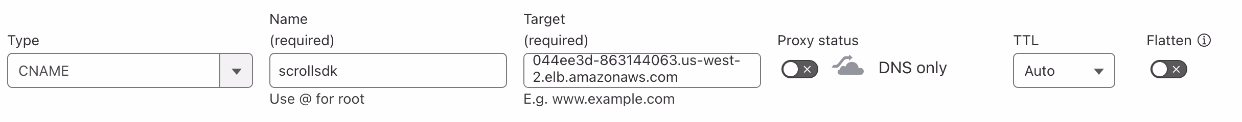 AWS Cloudflare DNS